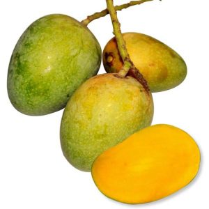 Gopalvog Mango (গোপালভোগ আম)