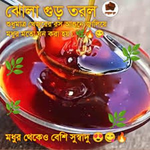 খেজুরের ঝোলা গুড়